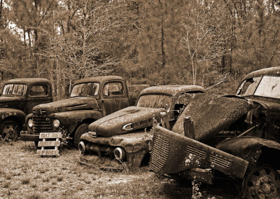 307641344320117485 - 1. May They Rust in Peace - Visible World Monochrome by Juliane Eckert