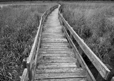 307968752320567586 - Frink Boardwalk Print